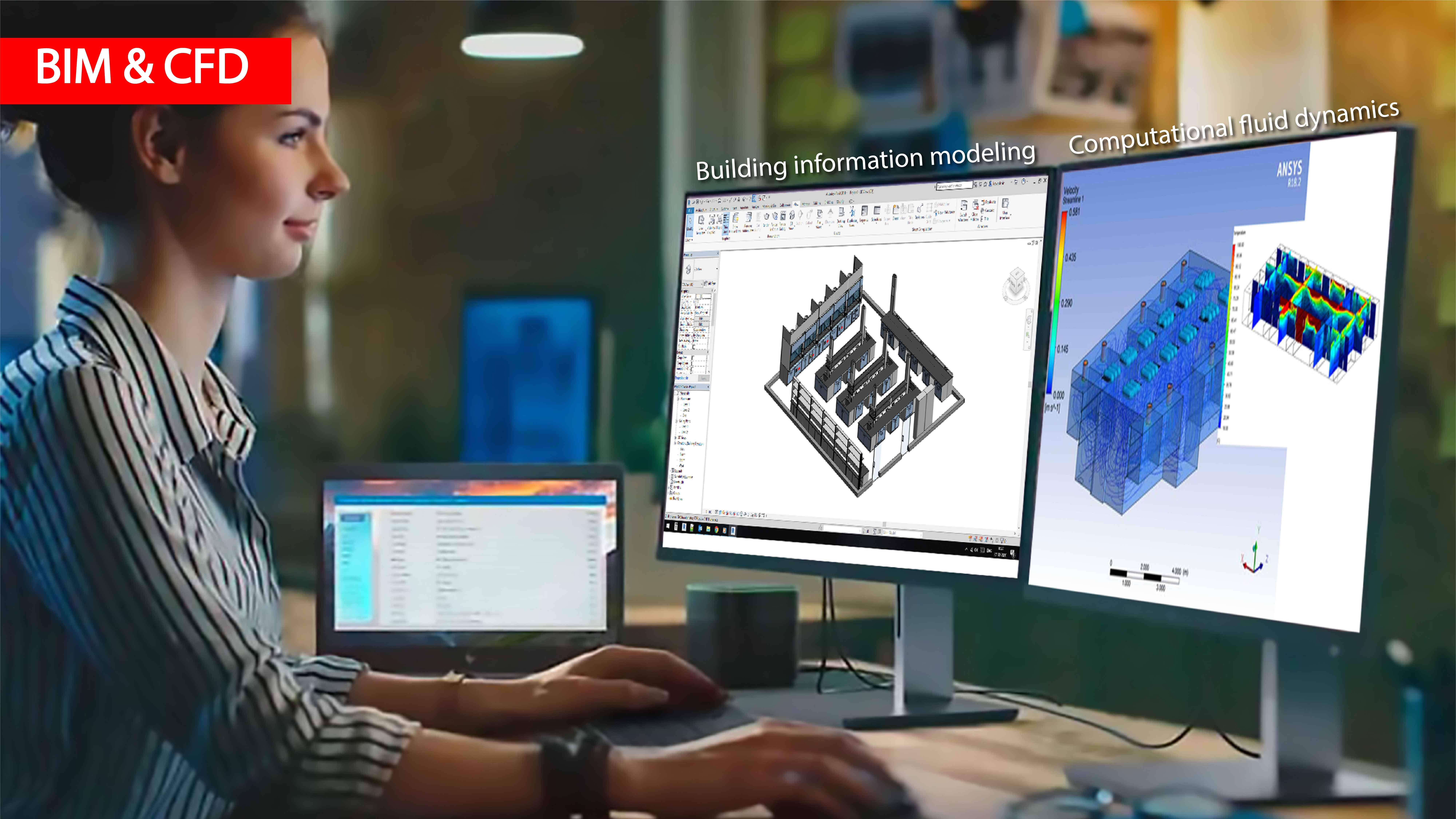 6-BIM-CFD